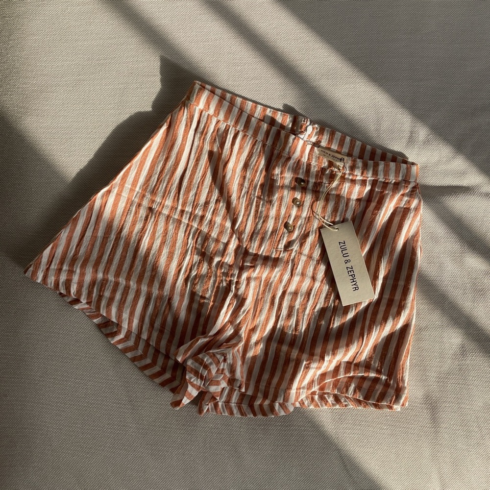 Zulu & Zephyr Beach Shorts In Rust Stripe - image 3